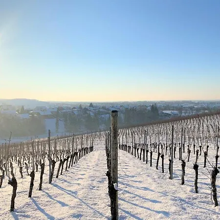 Engel 3* אפנווייר