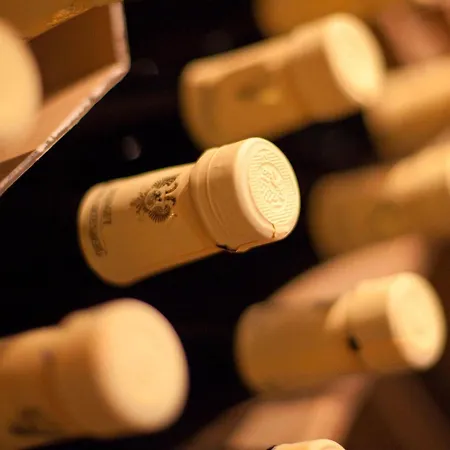 Engel בית הארחה אפנווייר